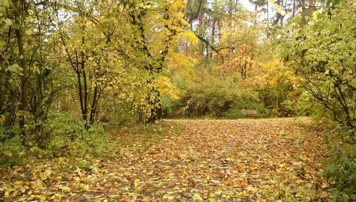 Хабаровский дендрологический сад