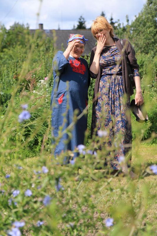 Музей цикория