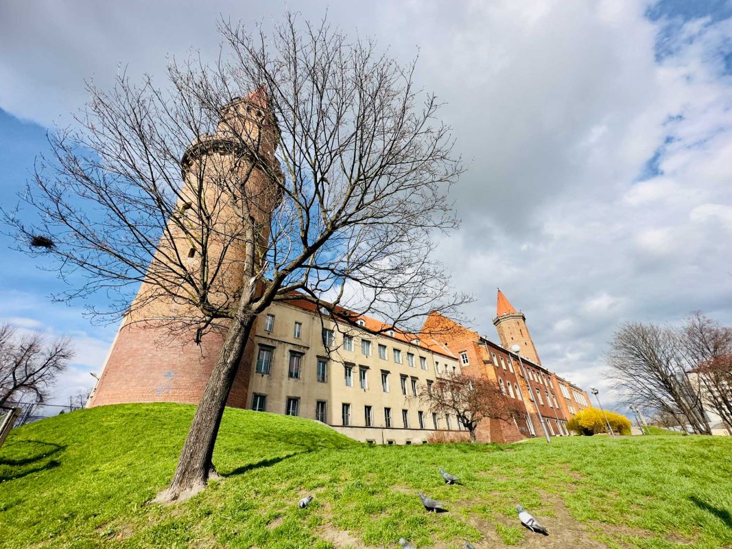 Замок Пястов в Легнице