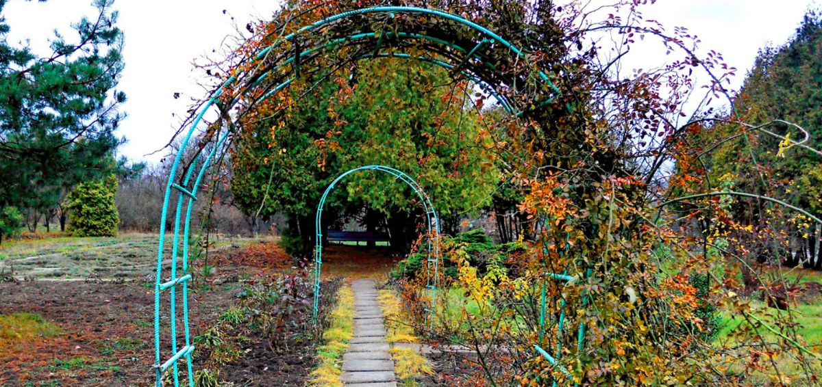 Сумской ботанический сад