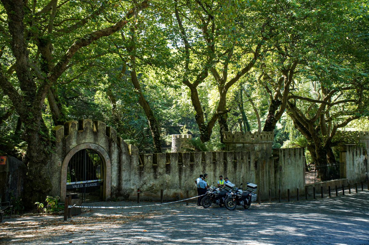 Ботанический сад Вале-дус-Лагуш-э-Патейра (Vale dos Lagos e Pateira)