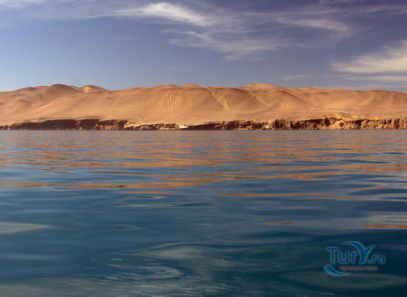 Андский Канделябр (Канделябр Паракаса)