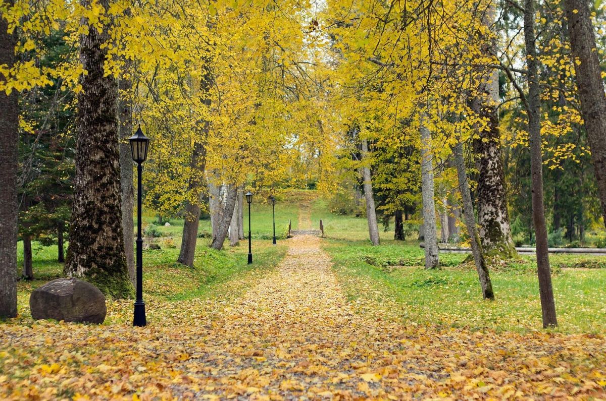 Здание усадьбы Вольтвети в Тихеметса