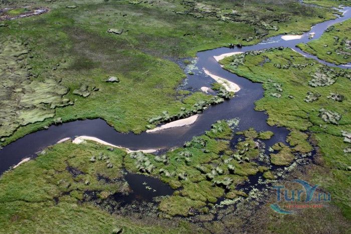 Национальный Парк Чобе