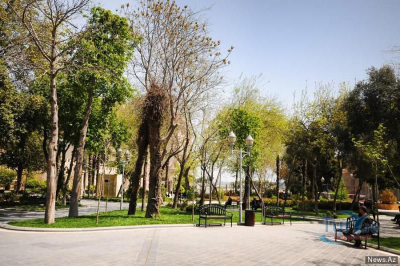 Парк Филармонии 