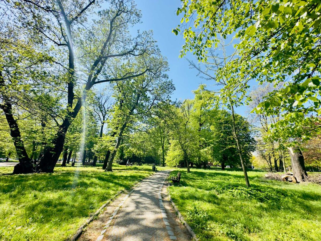 Рацлавицкая панорама