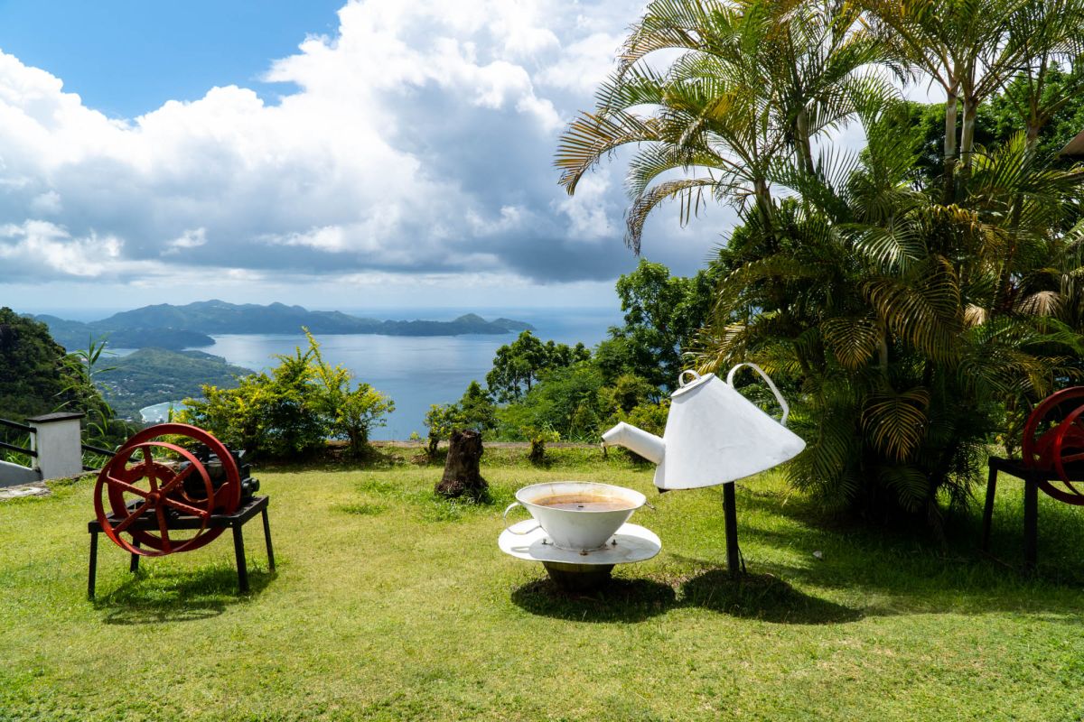 Чайная фабрика