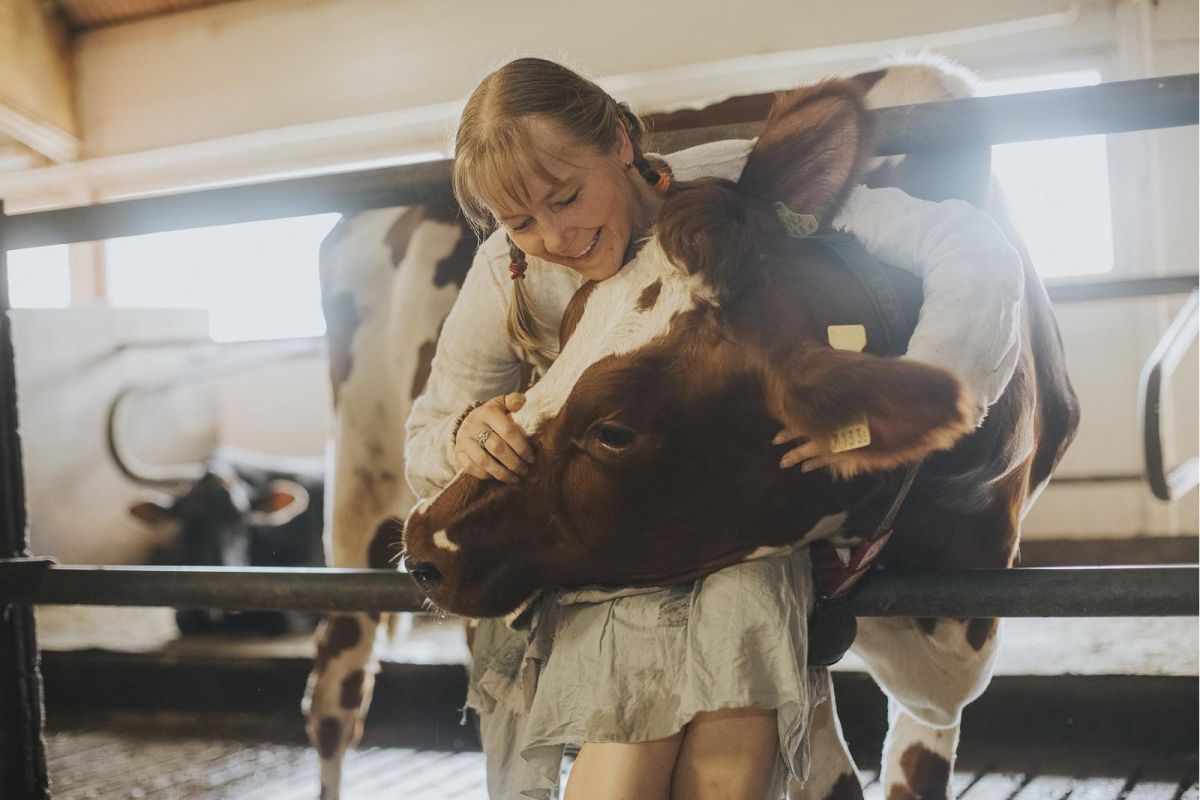 Хуторской магазин сырной фермы Andre