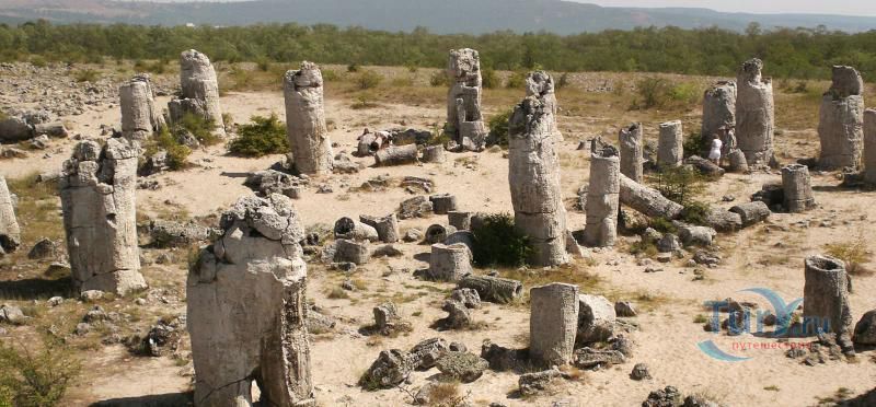 Каменный лес