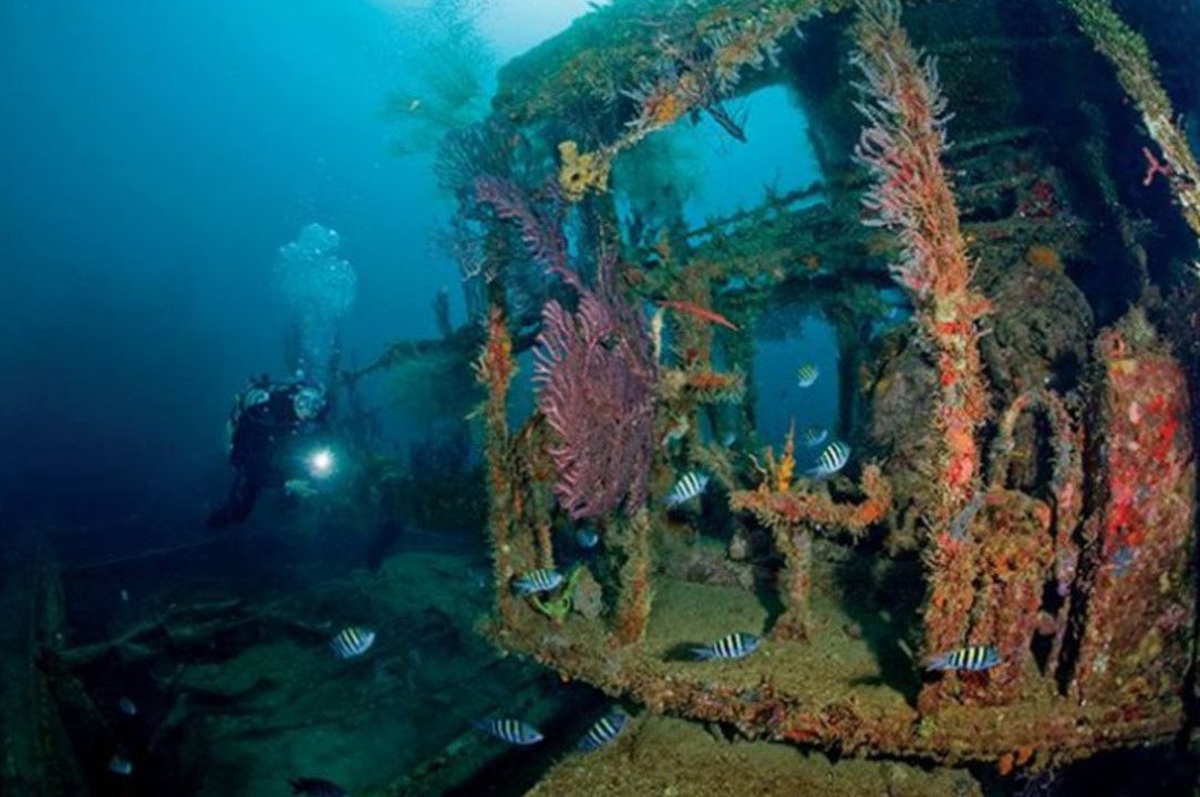 Шак Эм (MV Shakem)