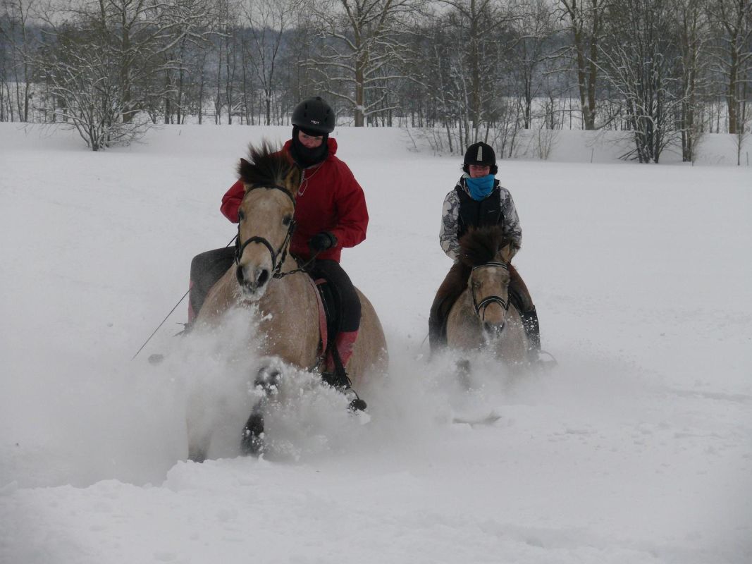 Центр верховой езды Maria