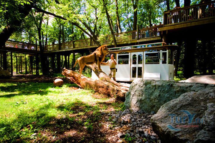 Зоопарк Боуманвилля