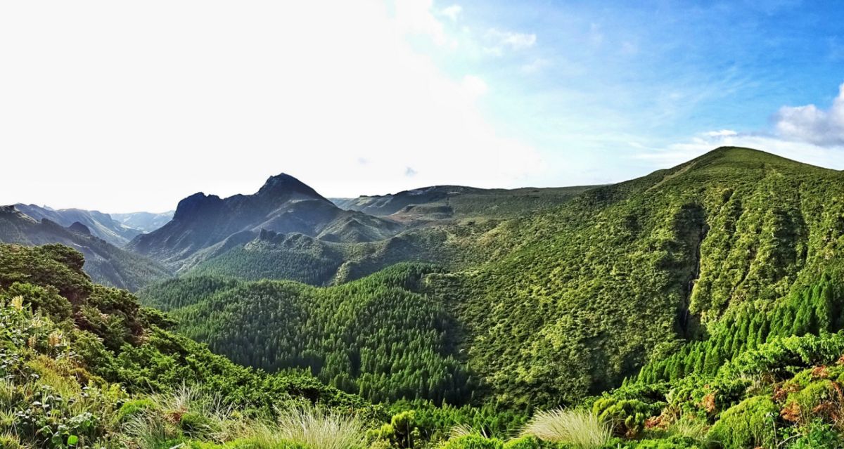 Санта-Круш-даш-Флориш