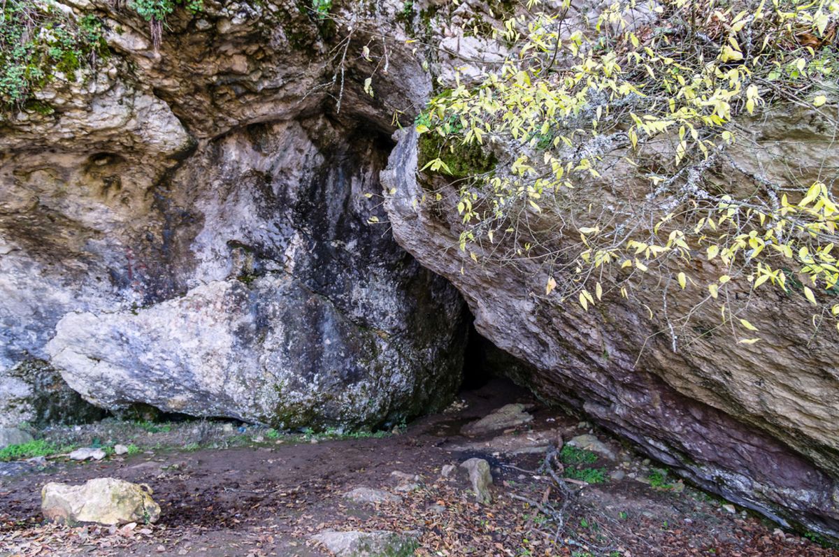 Тысячеголовая пещера