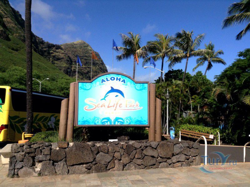 Парк Морской жизни Sea Life Park на о.Оаху
