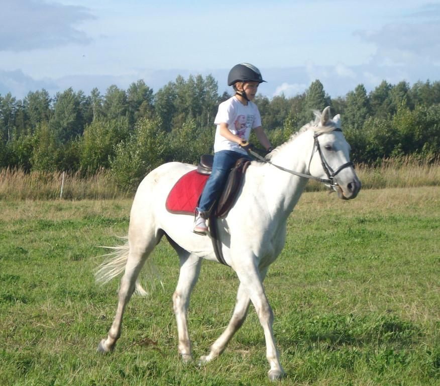 Конюшни Лаане