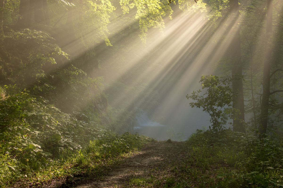 Бохиньска Бела