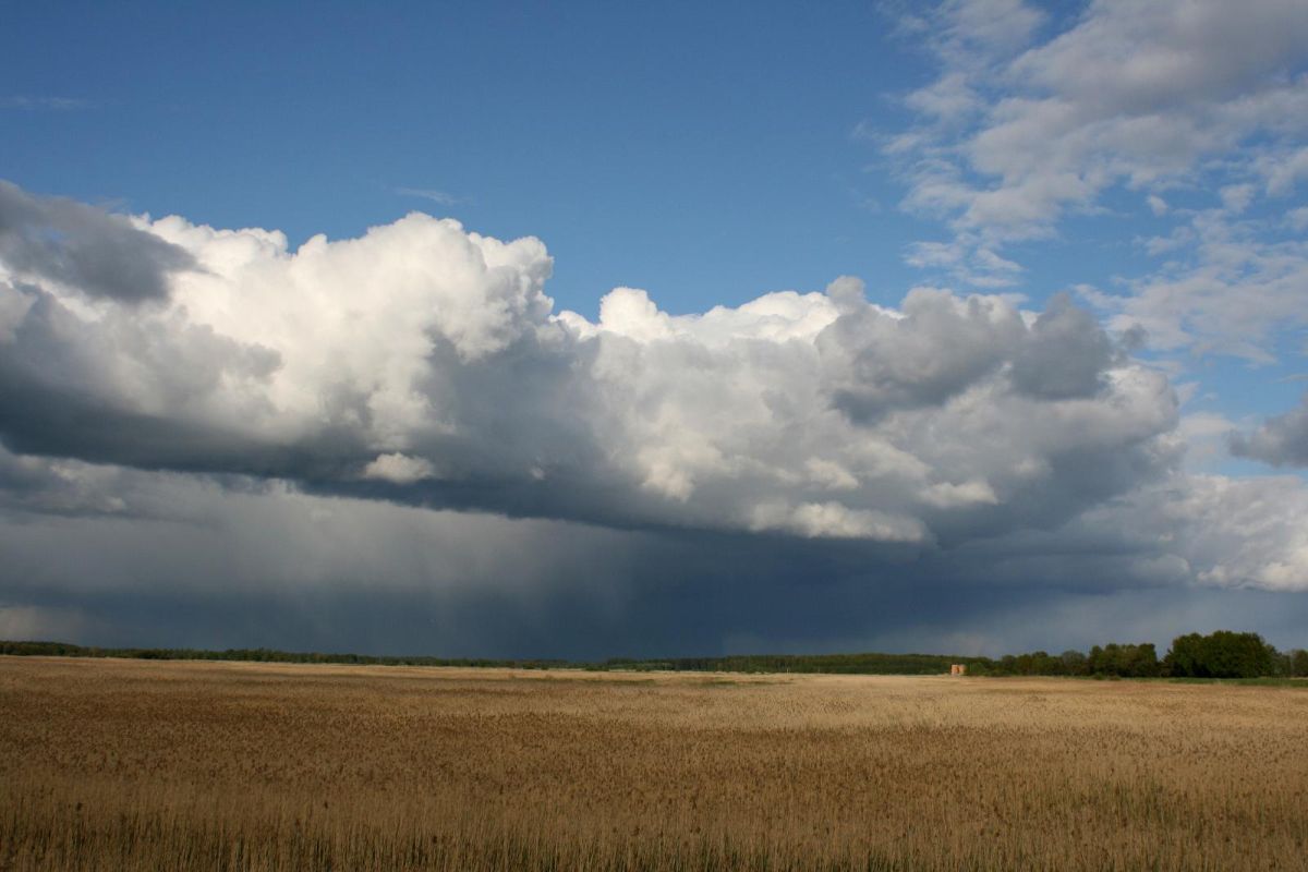 Польдер Аудру