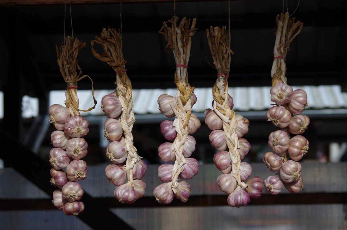 Центральный рынок Тарту