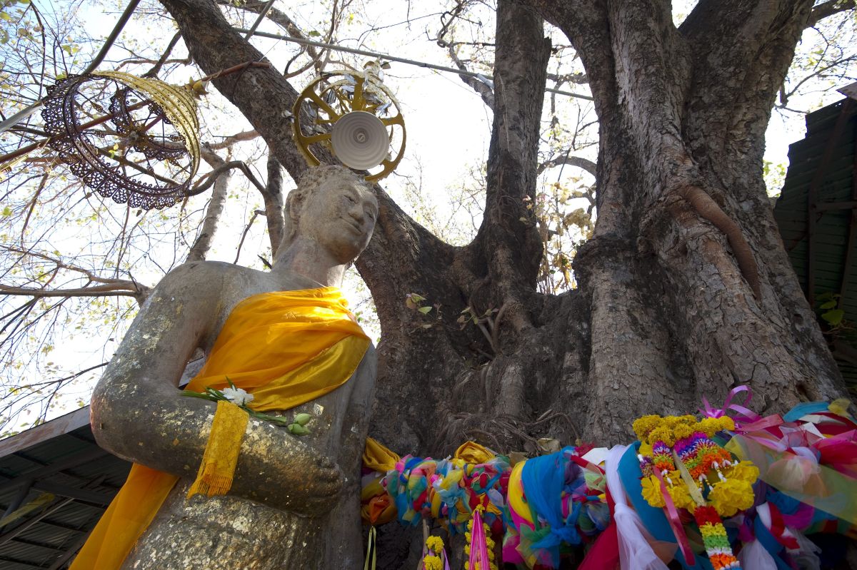 Статуя Будды Пхра Юэн Монгхон