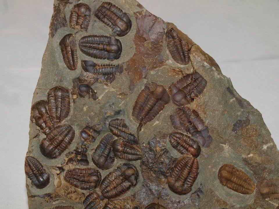 Geosvět – галерея минералов и ископаемых