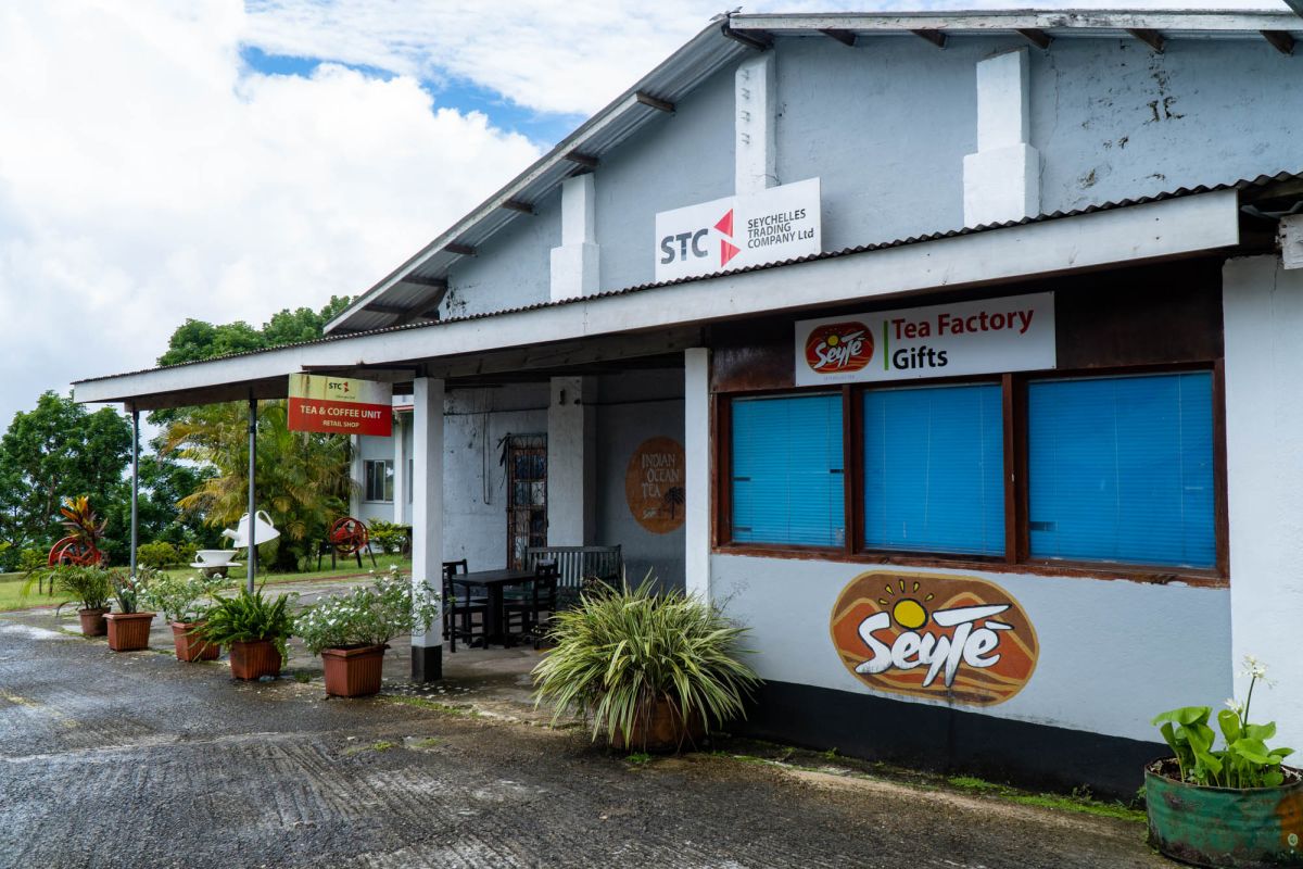 Чайная фабрика