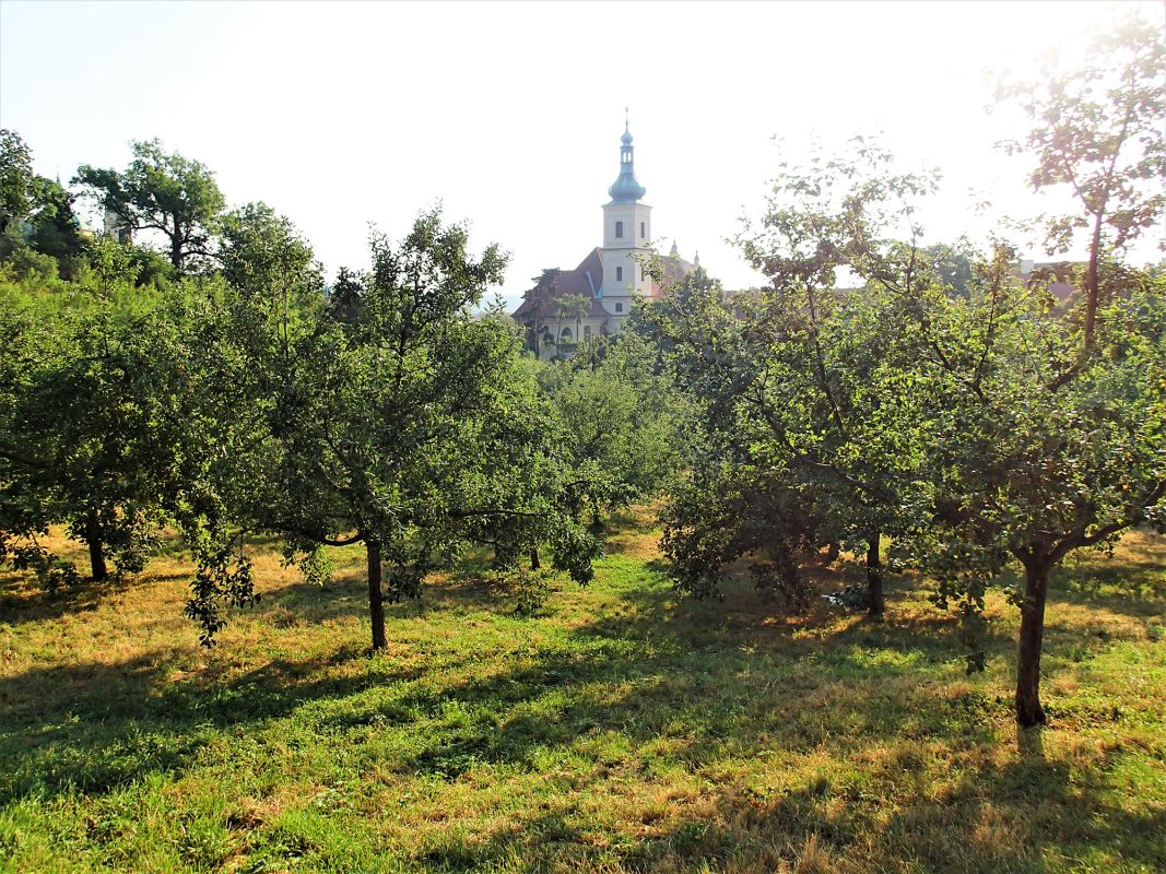 Семинарские сады