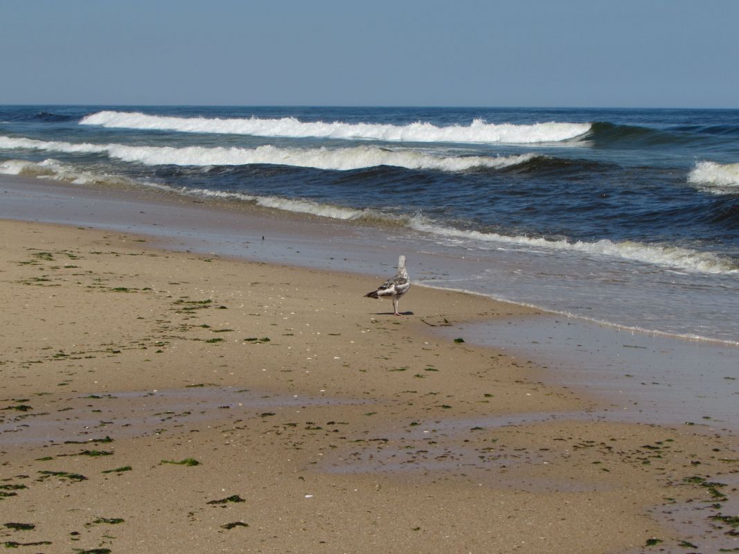 Пляж Терра-Эштрейта
