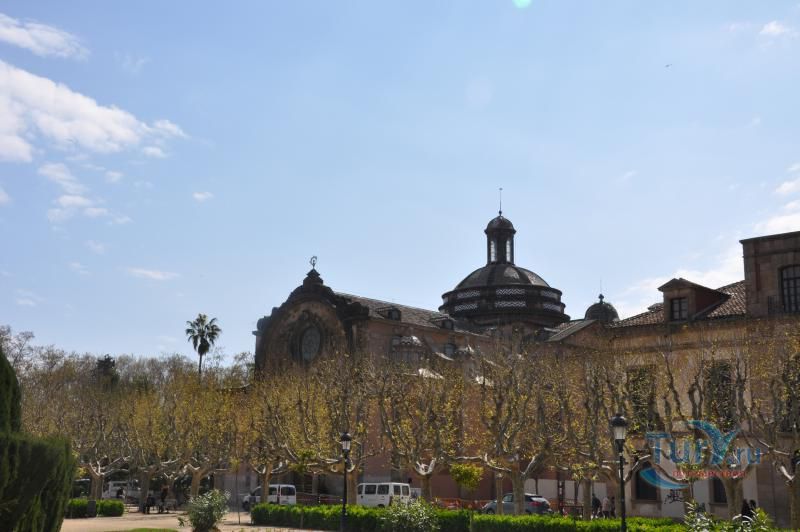 Парк Цитадели (Ciutadella Park)