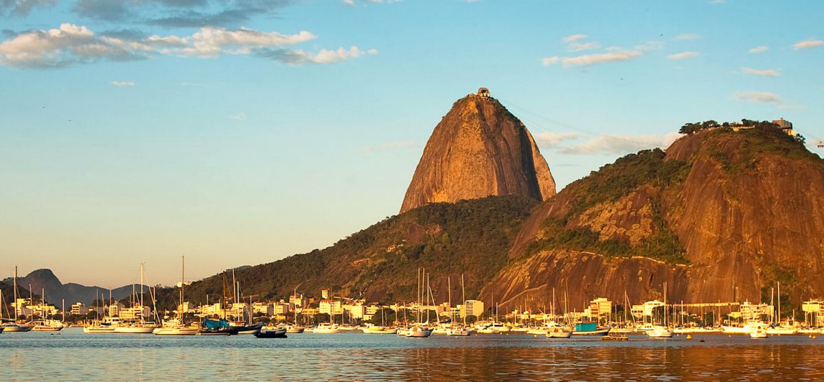 Сахарная голова