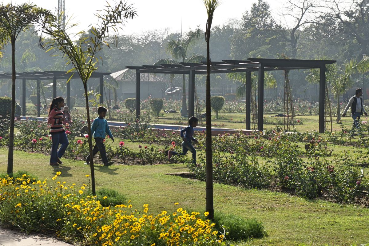 Национальный розовый сад индо-африканской дружбы