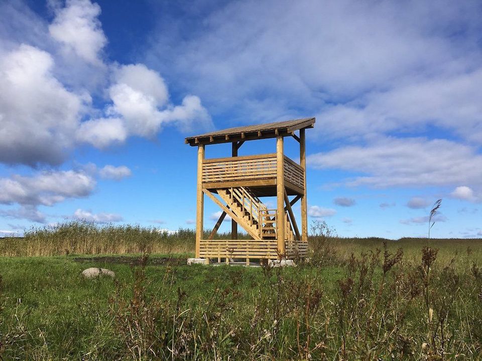 Башня для наблюдения за птицами в Вихасоо