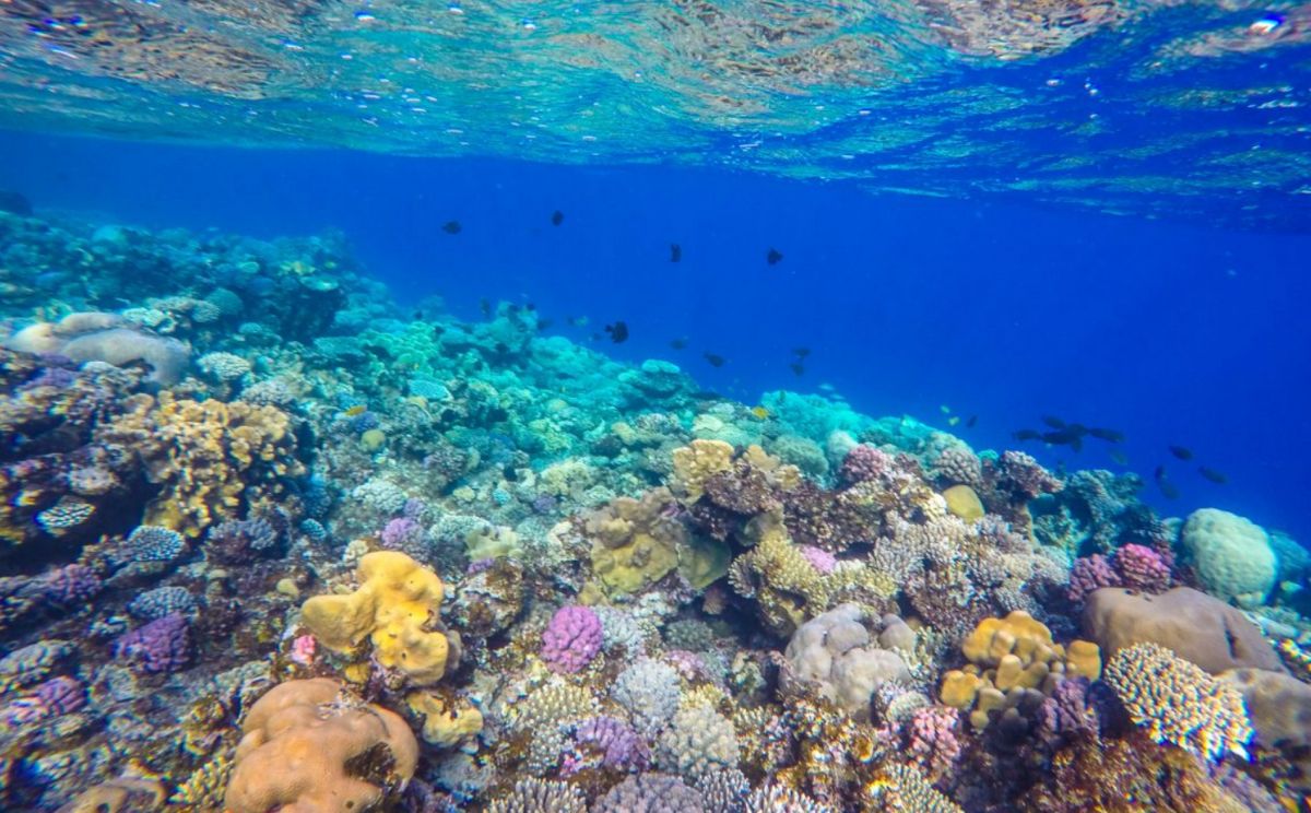 Три Бассейна