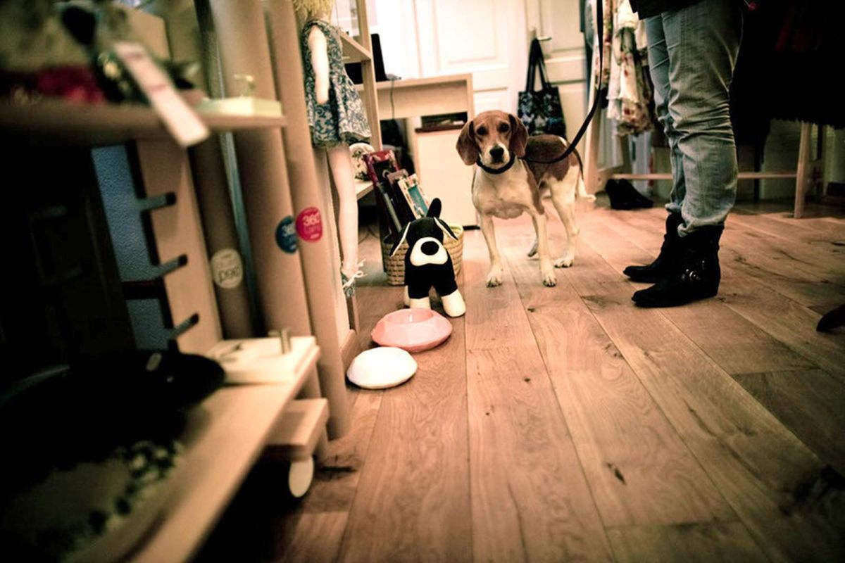 Магазин дизайна Disainimaja