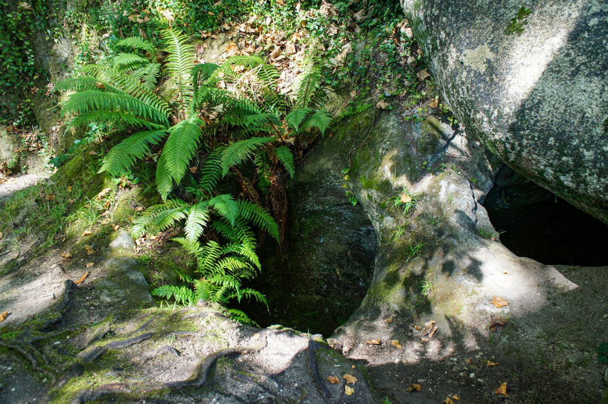 Ботанический сад Вале-дус-Лагуш-э-Патейра (Vale dos Lagos e Pateira)
