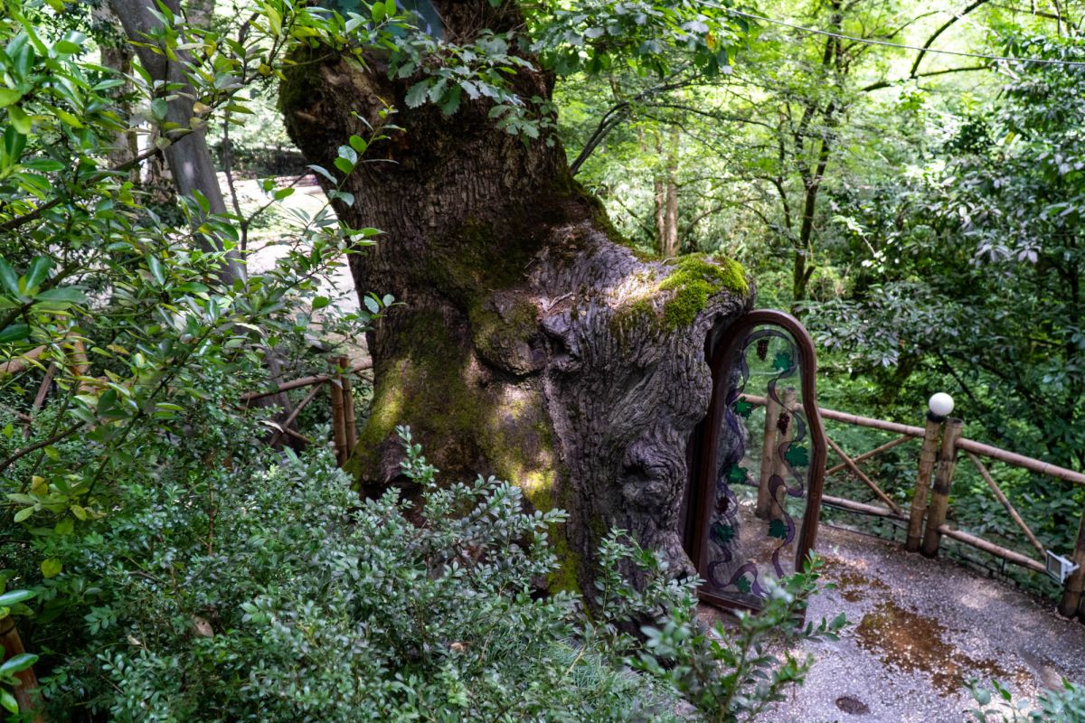 Церковь в дереве