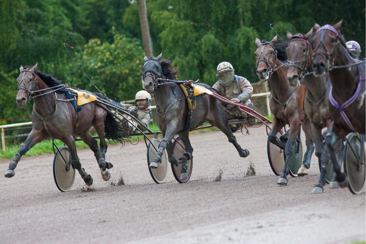 Таллиннский ипподром