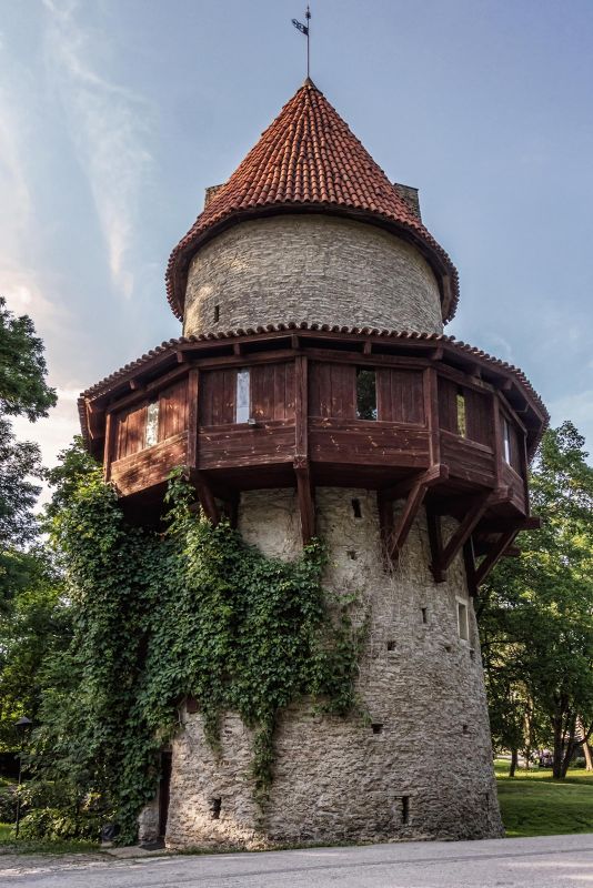 Вассальное городище Кийу, или башня Кийу