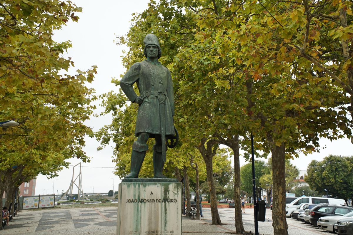 Статуя Жоау Афонсу де Авейру
