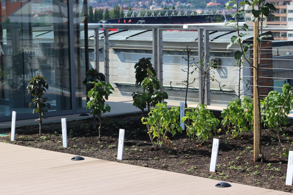 Панорамная терраса с садом на крыше Национального музея земледелия