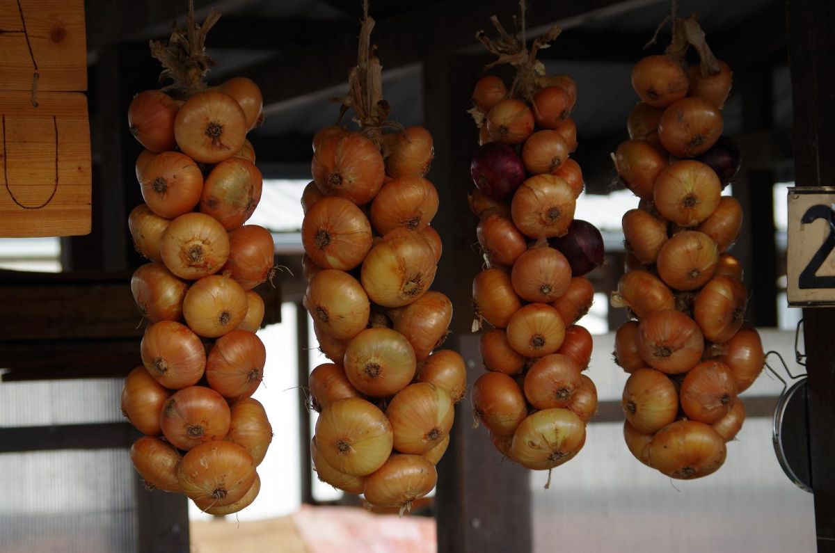 Центральный рынок Тарту