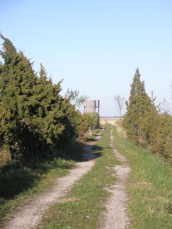 Башня для наблюдения за природой и птицами в дубраве Лооде