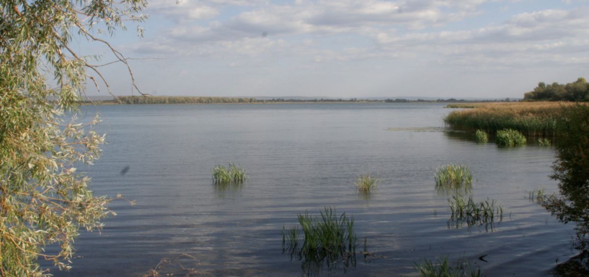 Белое озеро