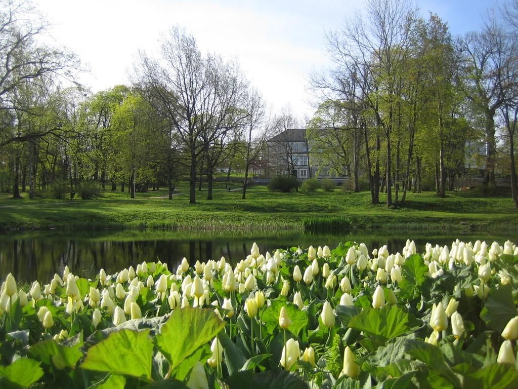 Мыза Раквере и парк