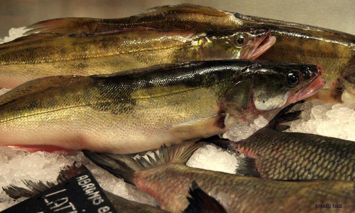 Рыбный и хуторской магазин Siiraku