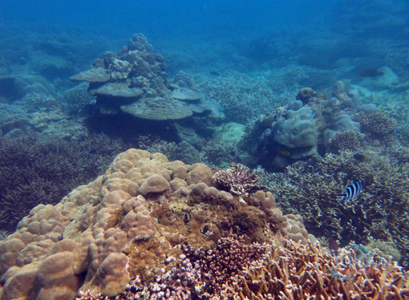 Морской национальный парк Сент-Анн