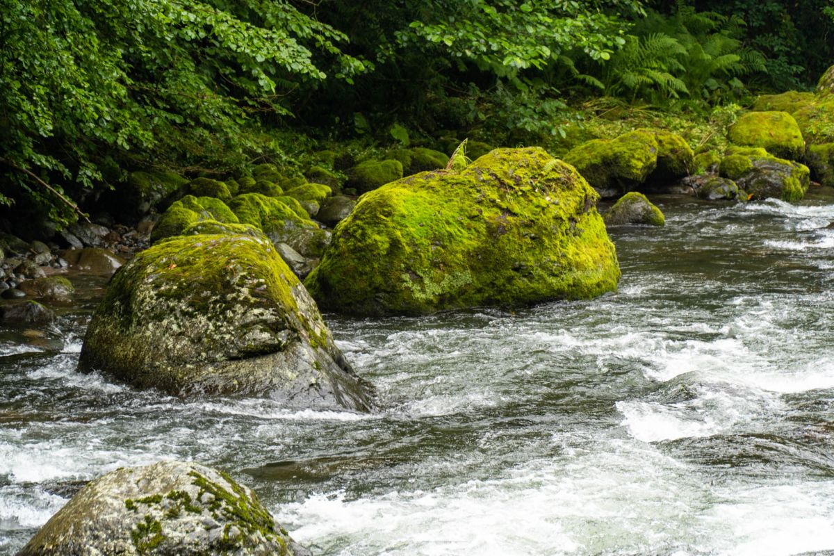 Национальный парк Мтирала