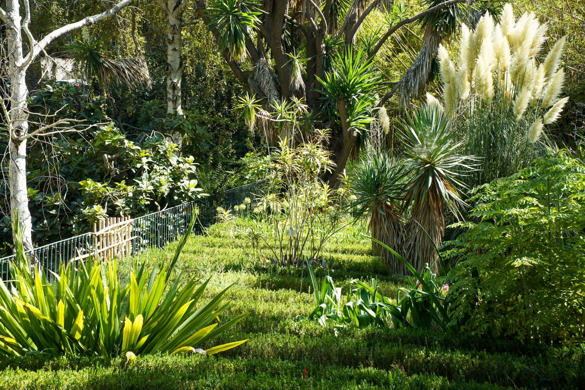 Ботанический сад Лиссабона