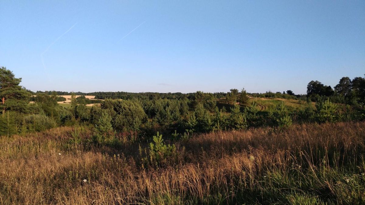 Парк для диск-гольфа Sportland Prodigy в Элва