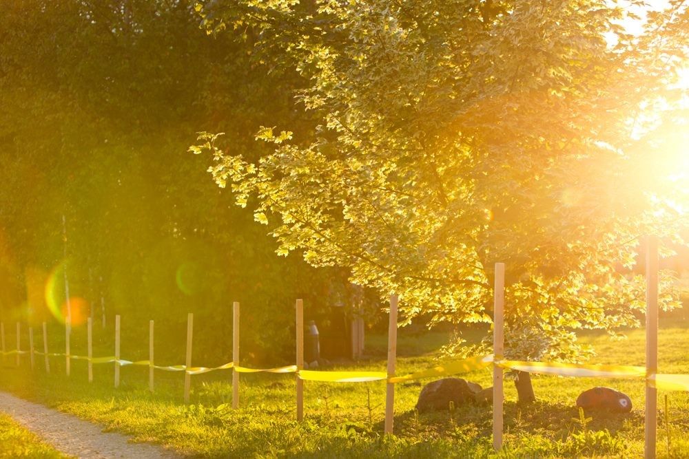 Студия-галерея 